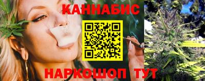 шишки Изобильный