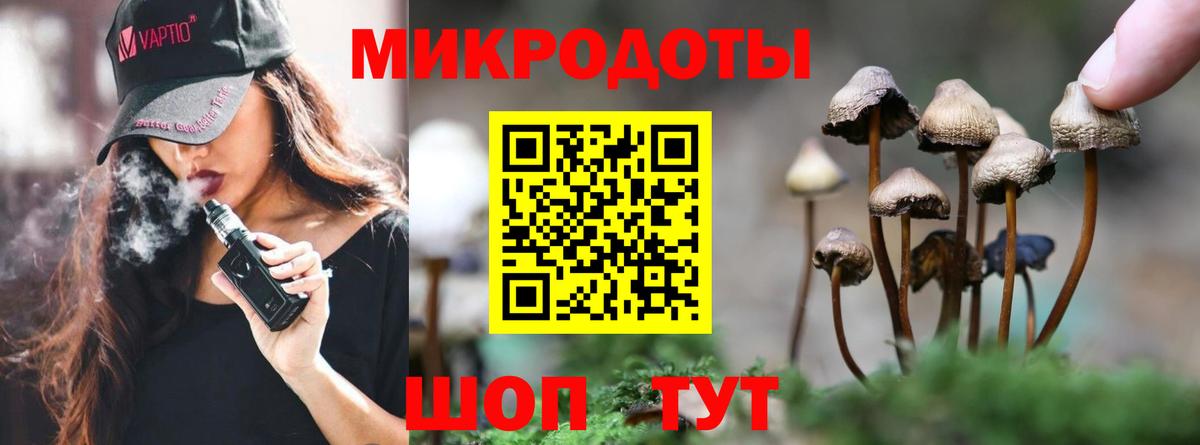Галлюциногенные грибы MAGIC MUSHROOMS  Вход с VPN  Лосино-Петровский 